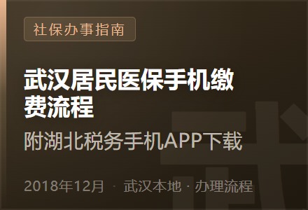 武汉居民医保手机缴费流程—附湖北税务手机APP下载-李景的保险时光